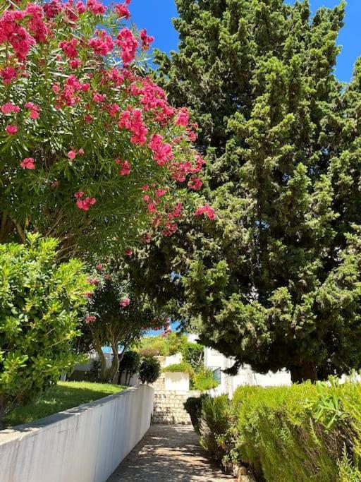 Casa Oliveira - Algarve Apartment Porches  Exterior photo